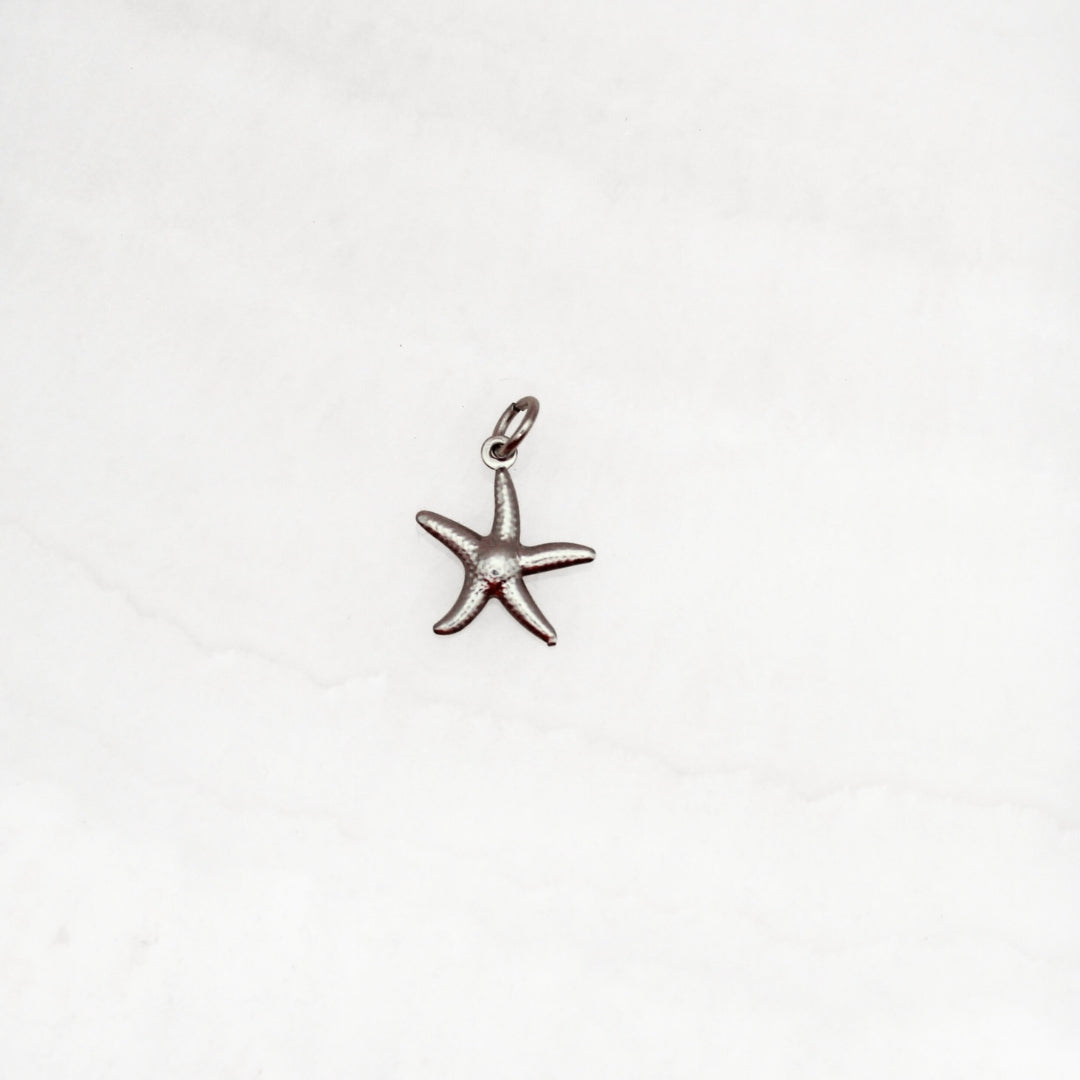 Bedel ketting / armband - medium zeester